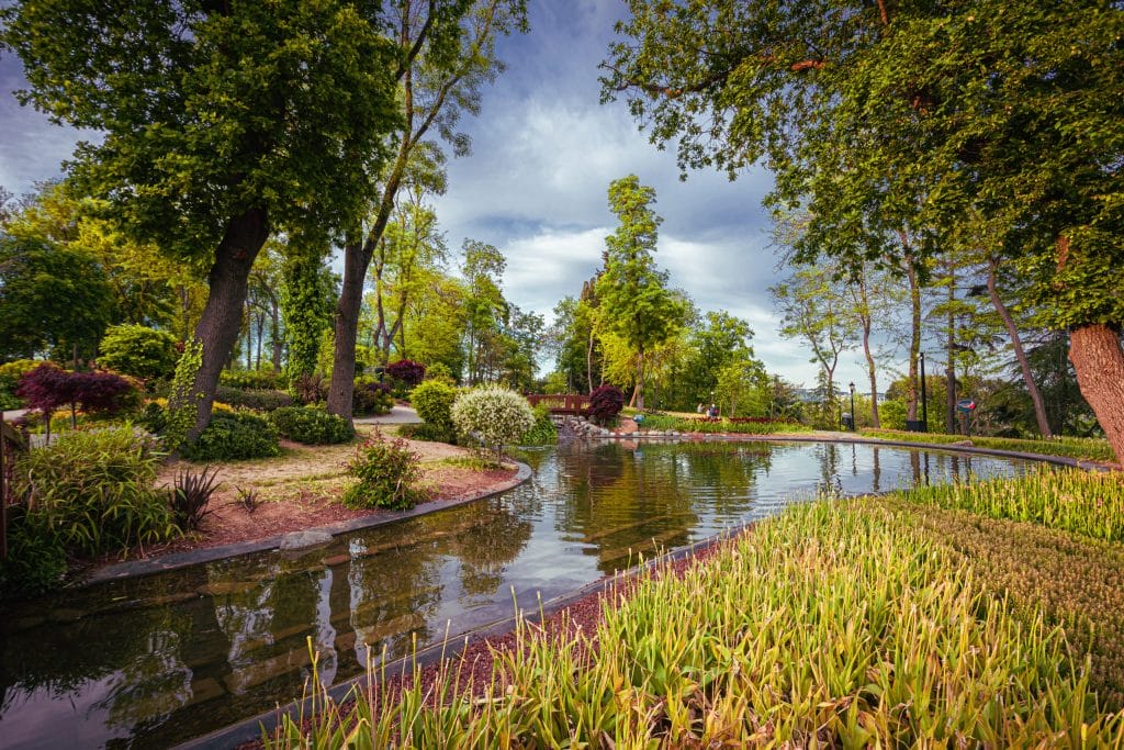 landscaping10 scaled 191 1024x683